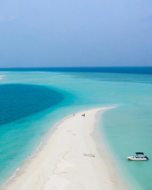 MALDIVE