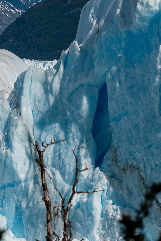 Viaggio di nozze in Patagonia