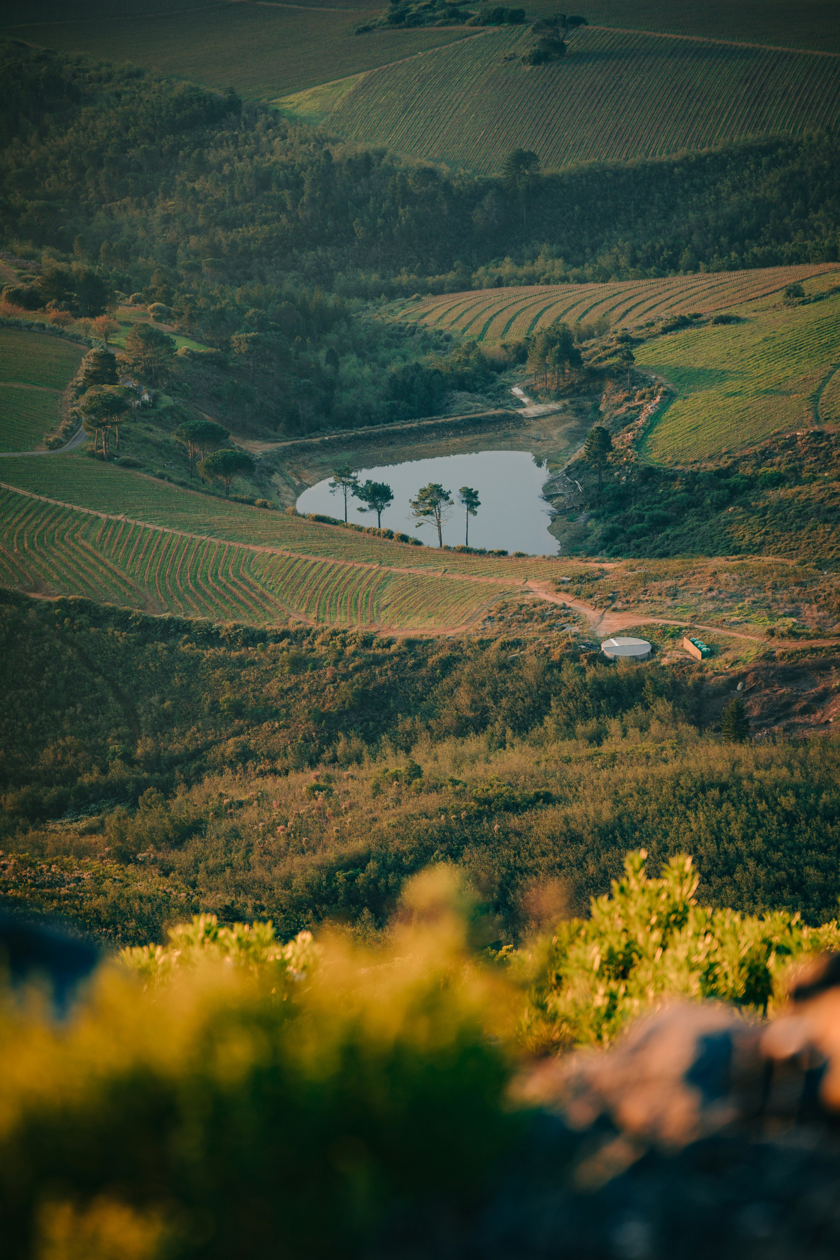 Viaggio di nozze in Sudafrica